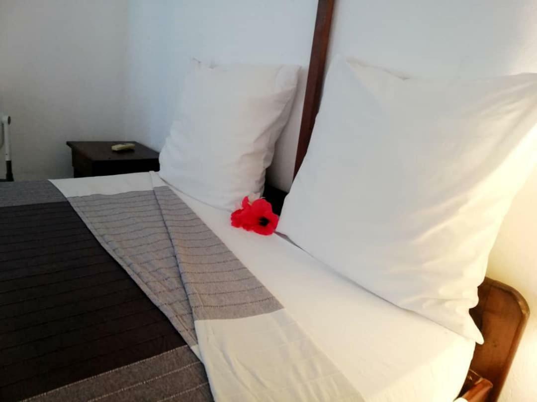 Hotel Jardin De La Paix Мороні Екстер'єр фото